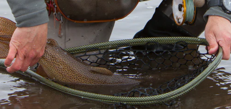 Fishpond Nomad Nets
