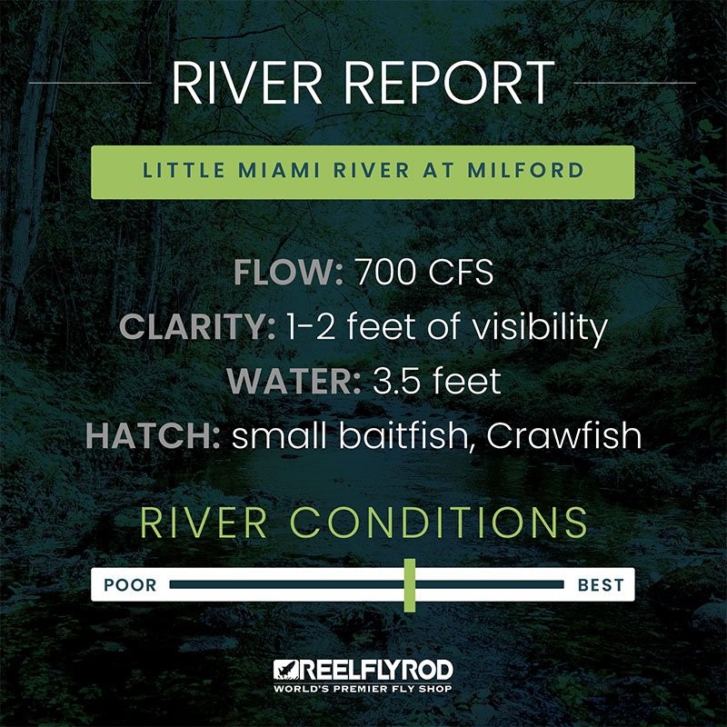 Fishing Report for the Little Miami River showing the Flow Rate, Clarity, Water Quality and Current Hatch