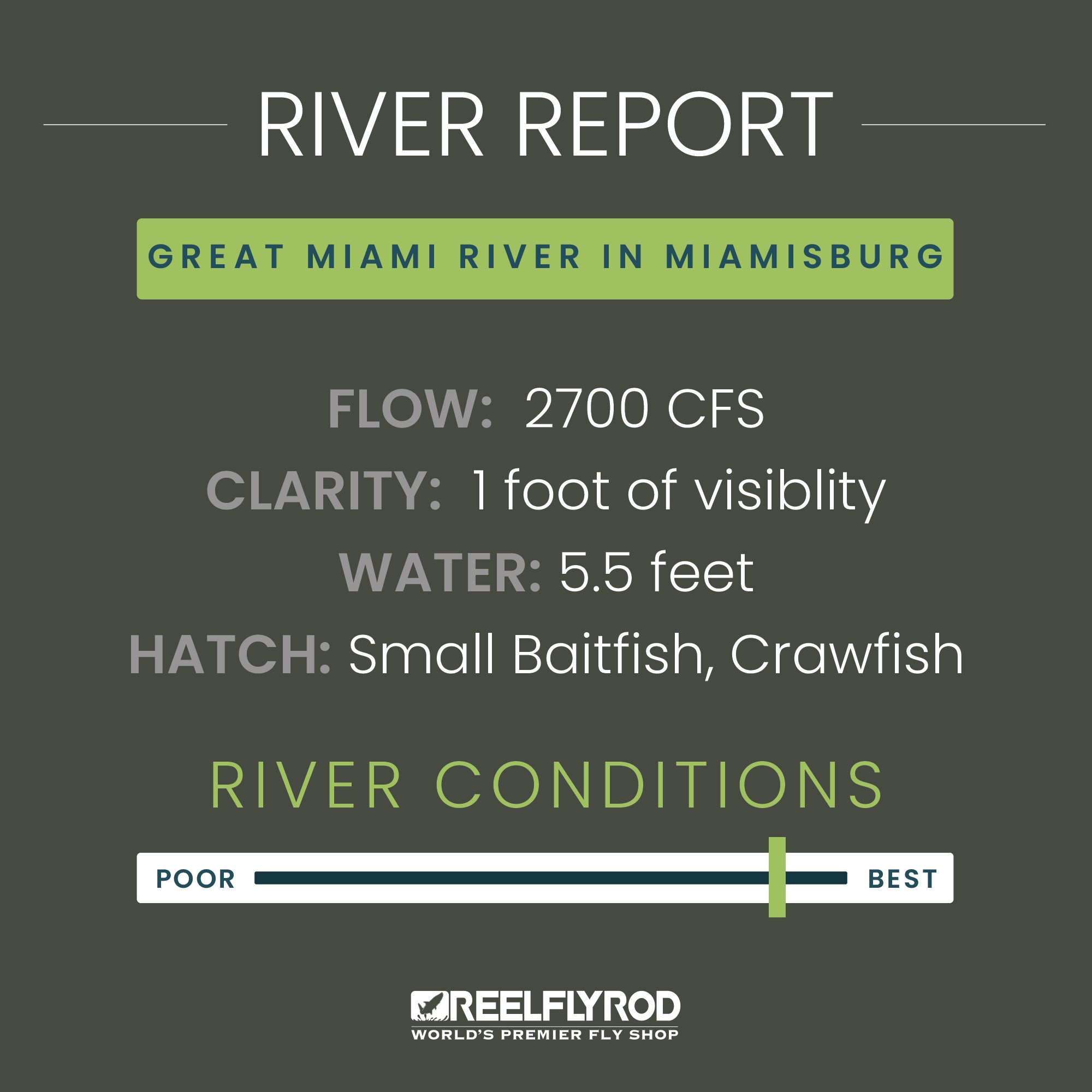 Fishing Report for the Great Miami River showing the Flow Rate, Clarity, Water Quality and Current Hatch