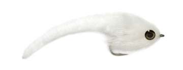 Mini Dragon Tail