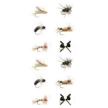 Fulling Mill Terrestrial Assortment