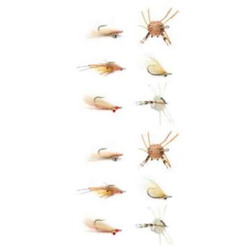 Fulling Mill Tropics Assortment