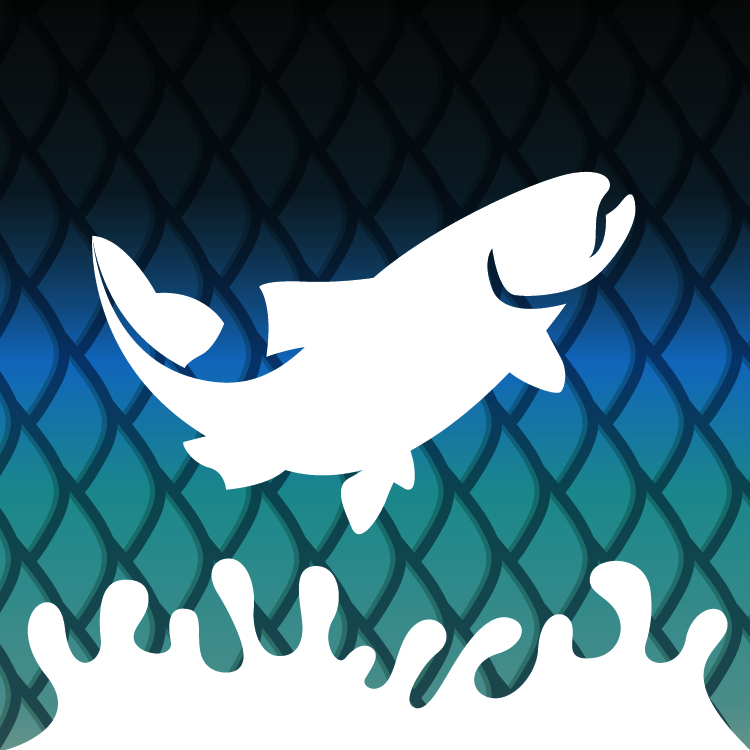 ReelFlyRod Collection