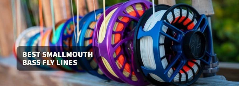 Best Fly Line for Smallmouth Bass