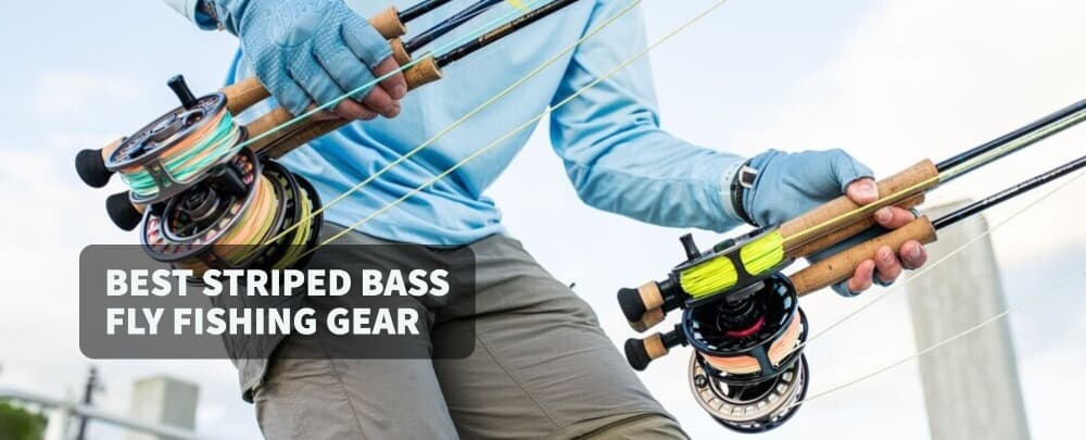 Best Fly Lines for Striped Bass
