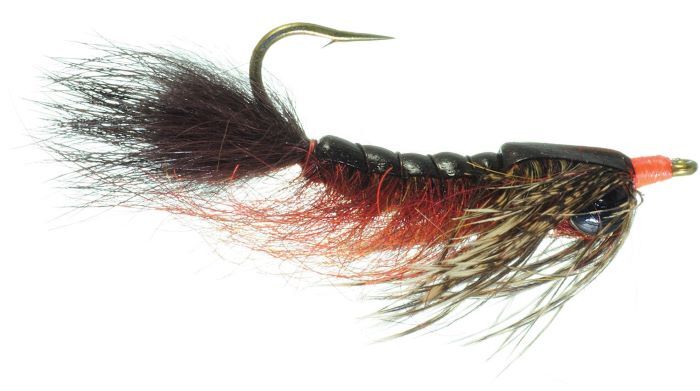 Best Carp Flies