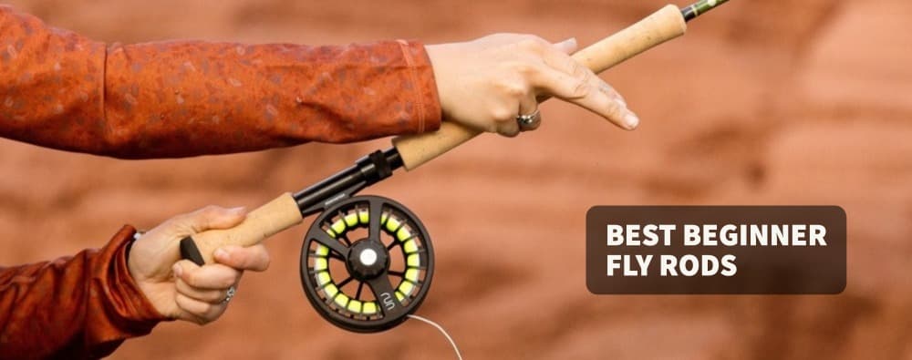 Best Beginner Fly Rod