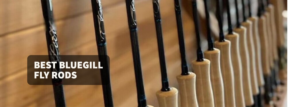 Best Bluegill Fly Rods
