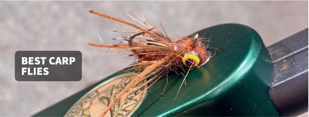 Best Carp Flies