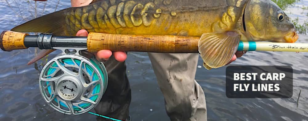Best Carp Fly Lines