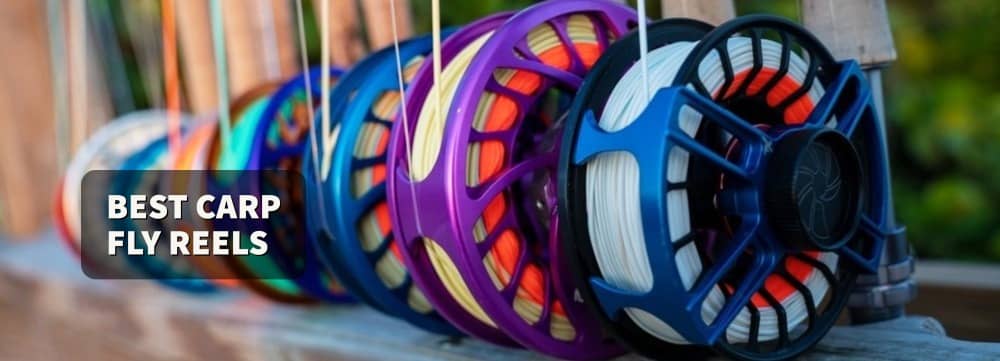 Best Carp Fly Reels
