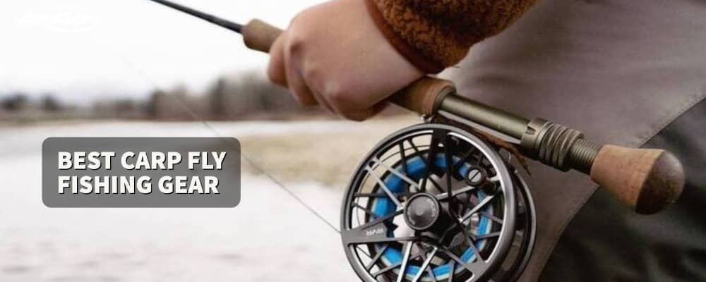 Best Carp Fly Rods and Reels