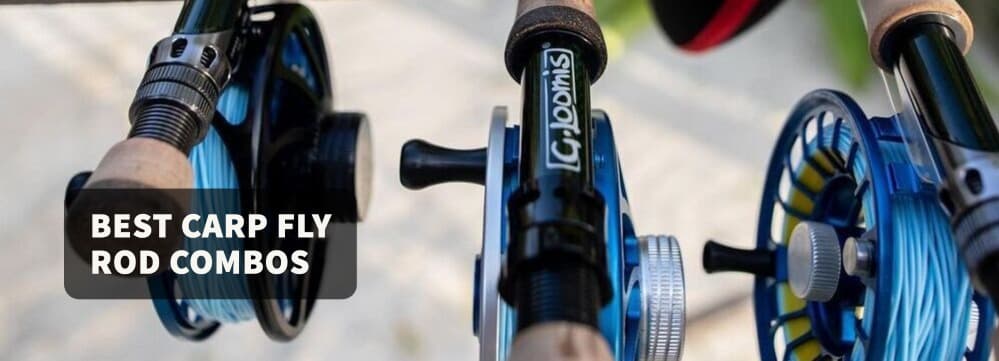Best Carp Fly Rod and Reel Combos