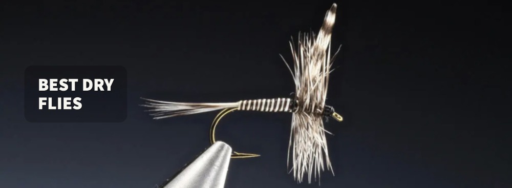Best Dry Flies