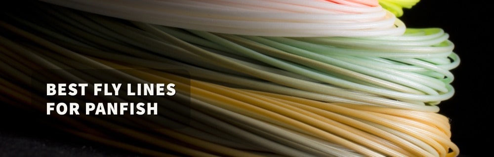 Best Fly Line For Panfish