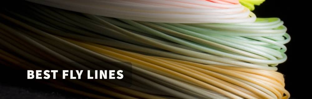 Best Fly Line