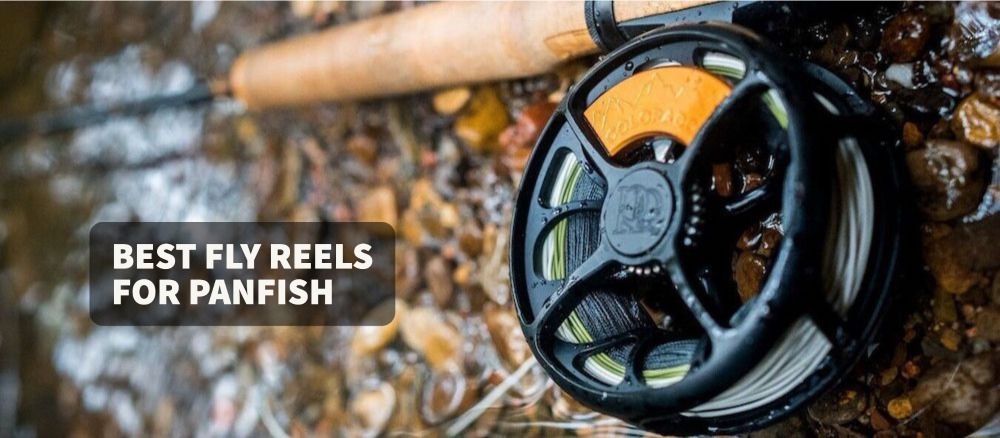 Best Fly Reel For Panfish
