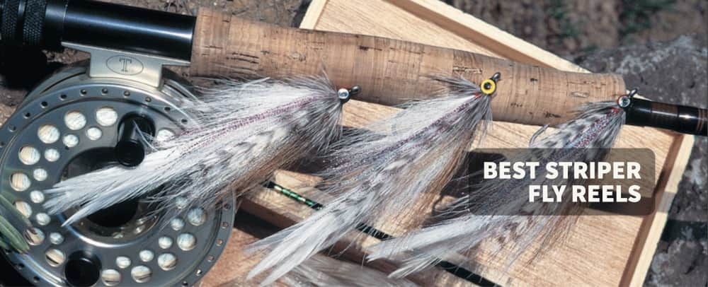 Best Fly Reels for Striped Bass