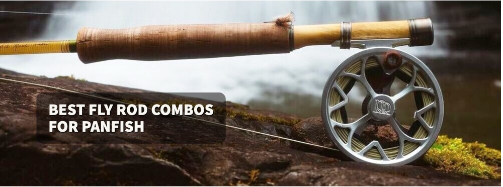 Best Fly Rod Combos for Bluegill