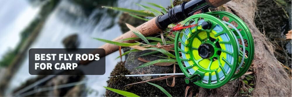 Best Carp Fly Rods