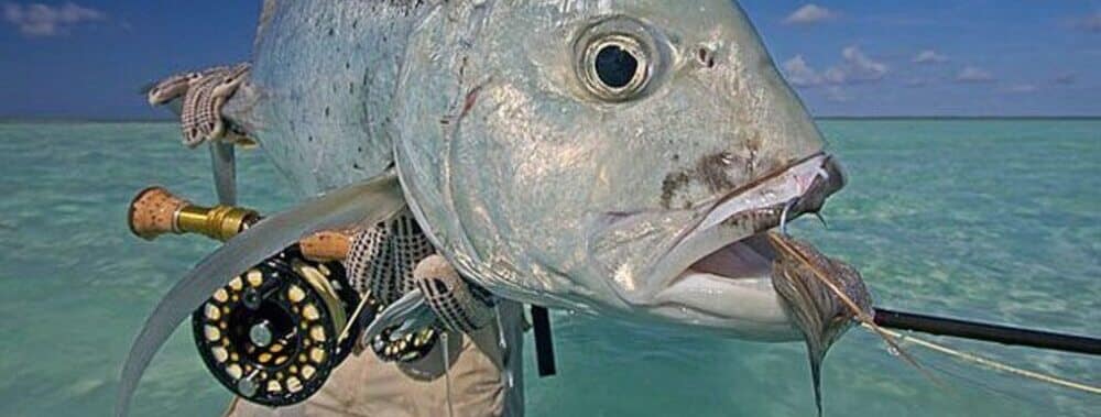Best Fly Rod and Reel for Giant Trevally