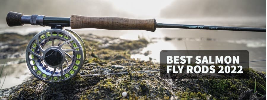 Best Fly Rod for Salmon