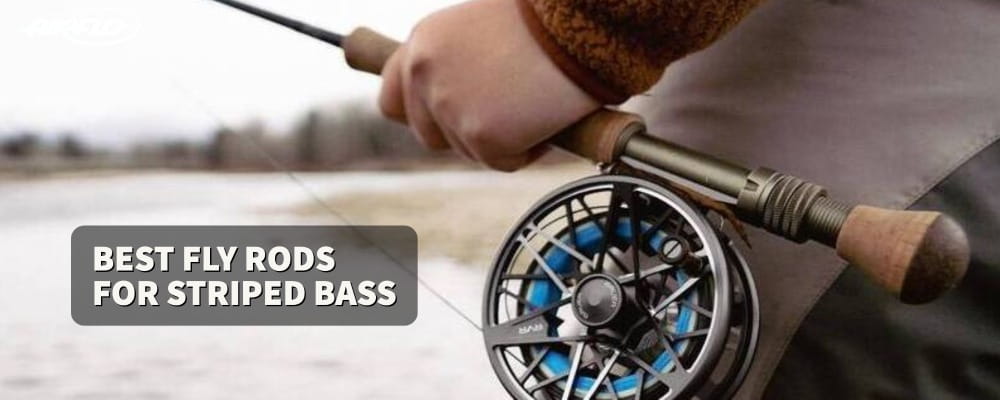 Best Fly Rod for Striped Bass