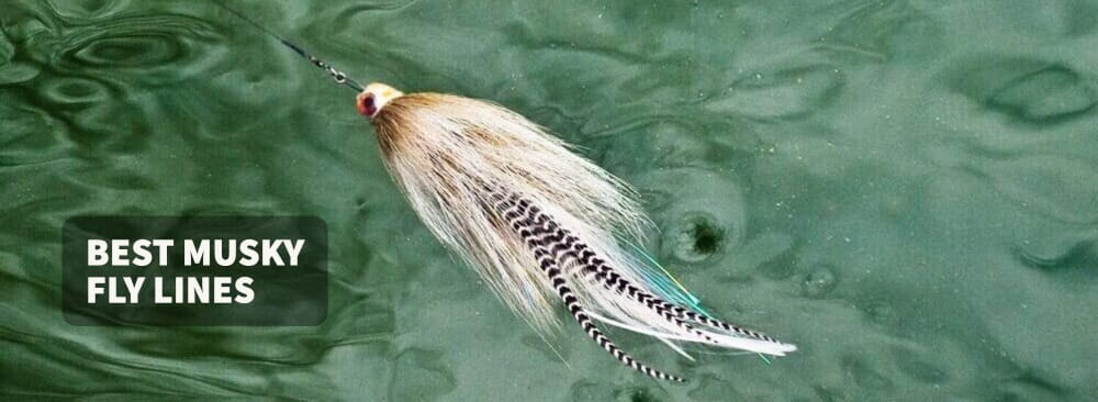 Best Musky Fly Lines