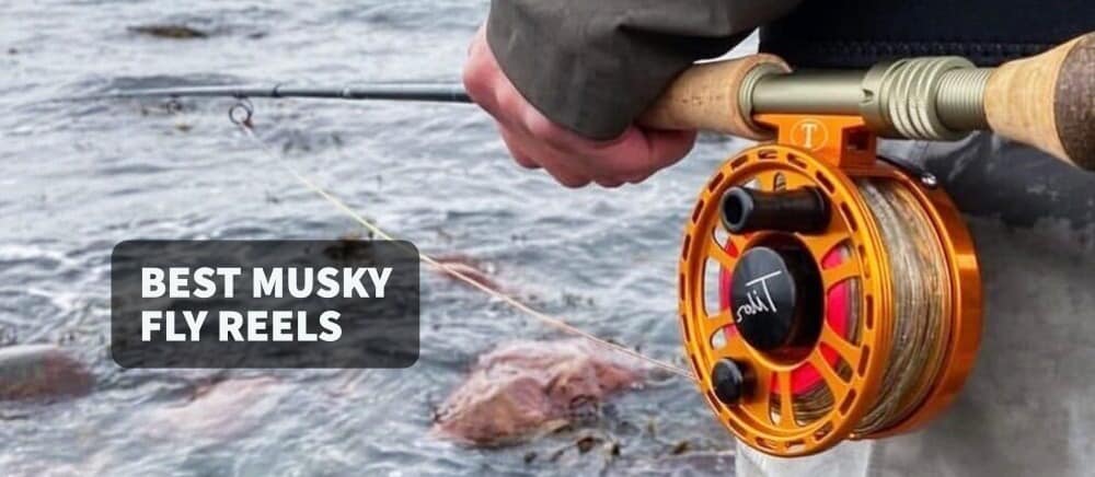 Best Musky Fly Reels