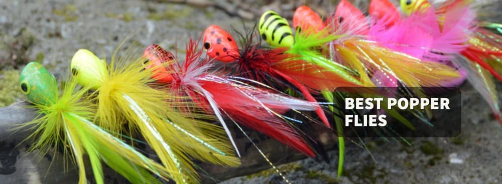 Best Popper Flies