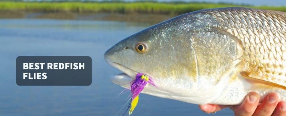 Best Redfish Flies