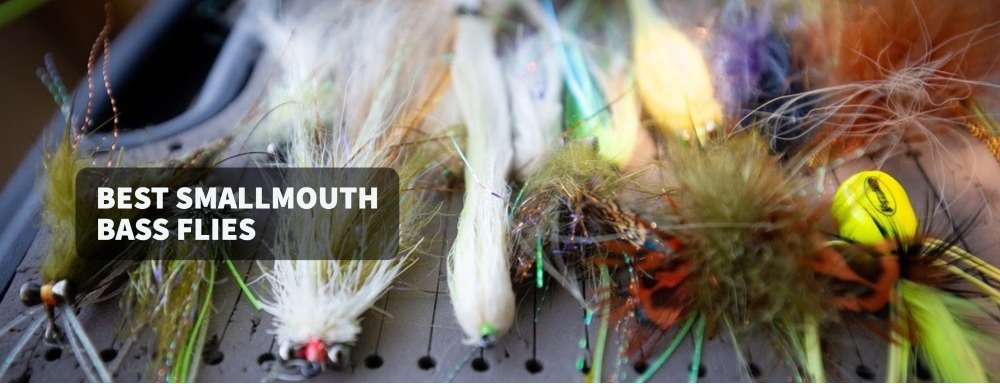Best Smallmouth Bass Flies