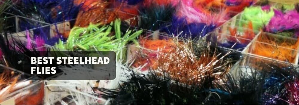 Best Steelhead Flies