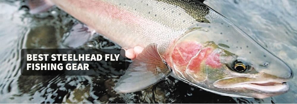Best Steelhead Fly Fishing Gear