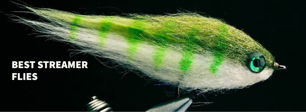 Best Streamer Flies