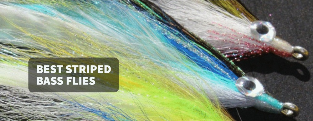 Best Striped Bass Flies