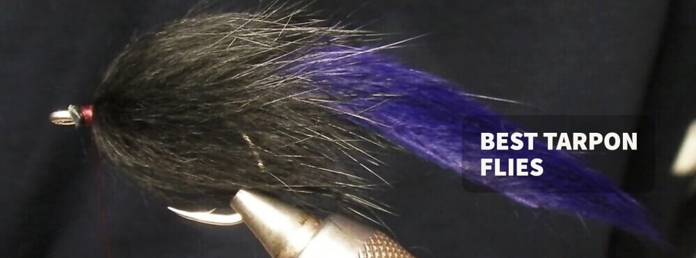 Best Tarpon Flies