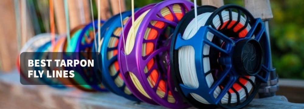 Best Tarpon Fly Lines