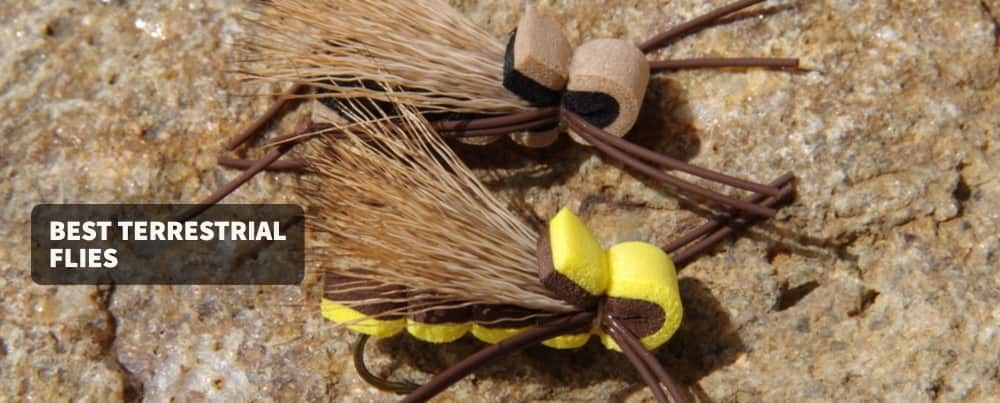 Best Terrestrial Flies