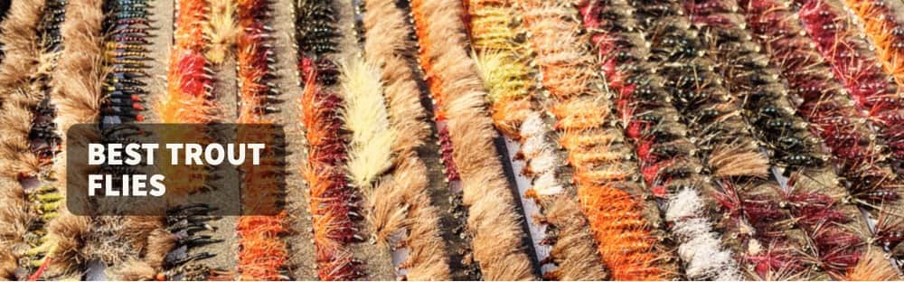 Best Trout Flies
