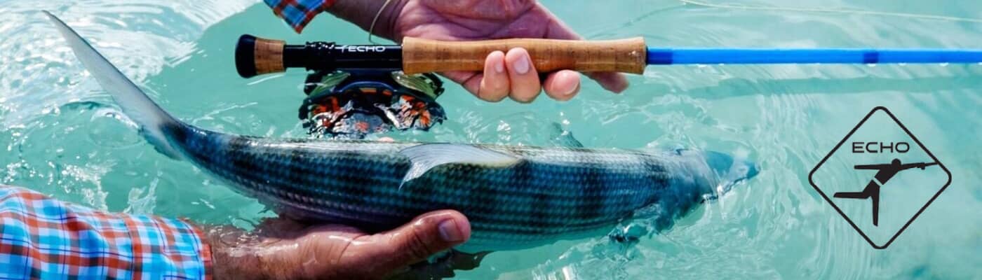 Echo Fly Rods