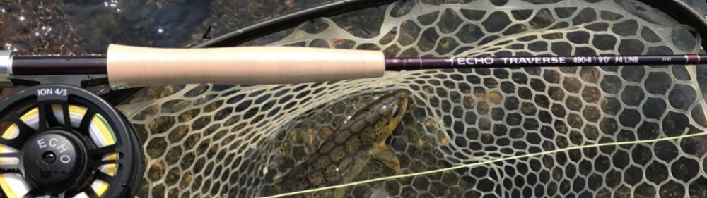 Echo Traverse Combos