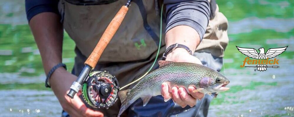 Fenwick Fly Fishing
