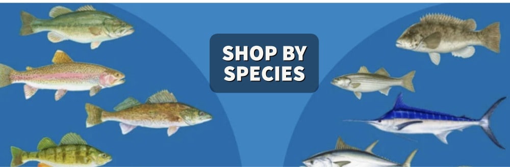 Shop Fly Fishing Gear By Species