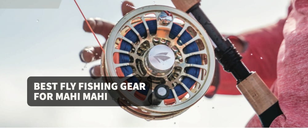 Best Fly Fishing Gear for Mahi Mahi