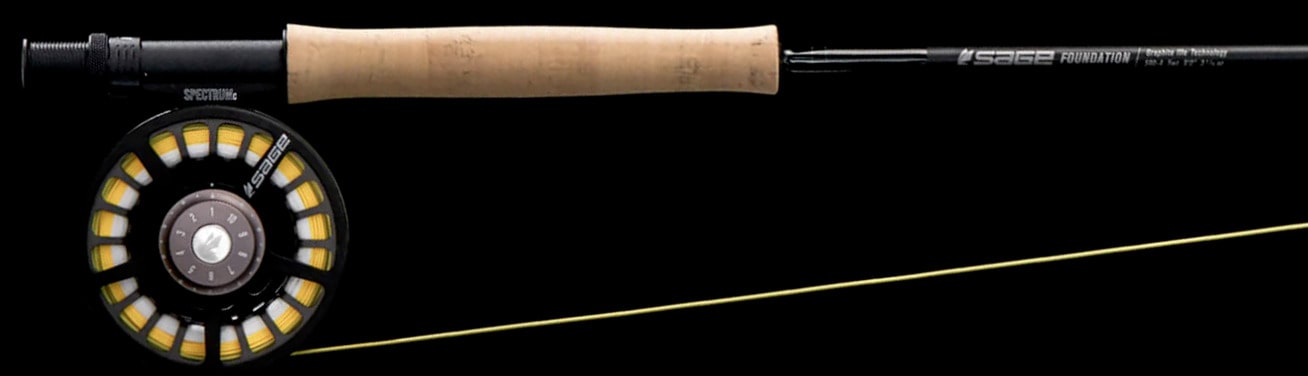 Sage Foundation Outfits