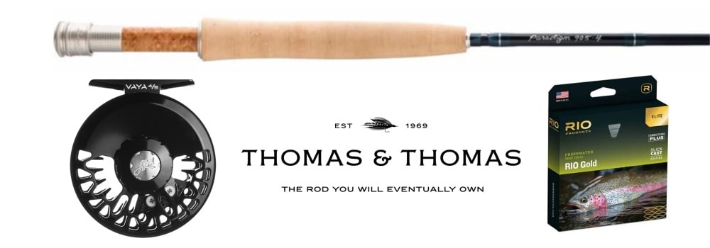 Thomas and Thomas Paradigm Combos