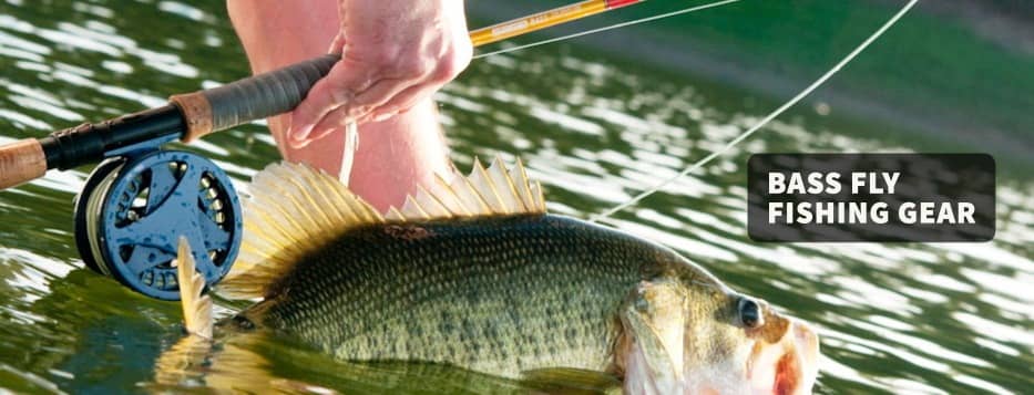 Bass Fly Fishing Gear