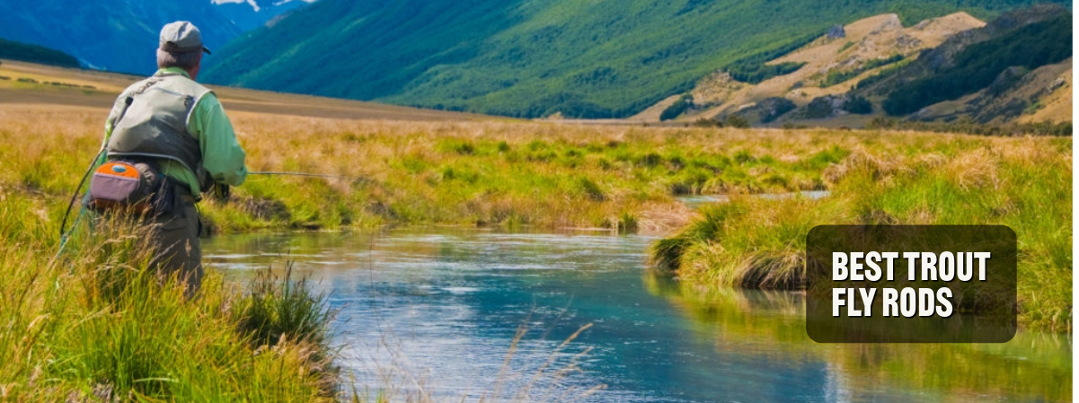 Best Trout Fly Rod