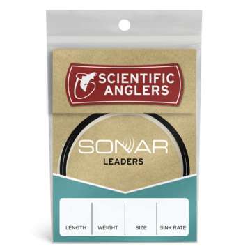 SA Sonar Sinking Leader